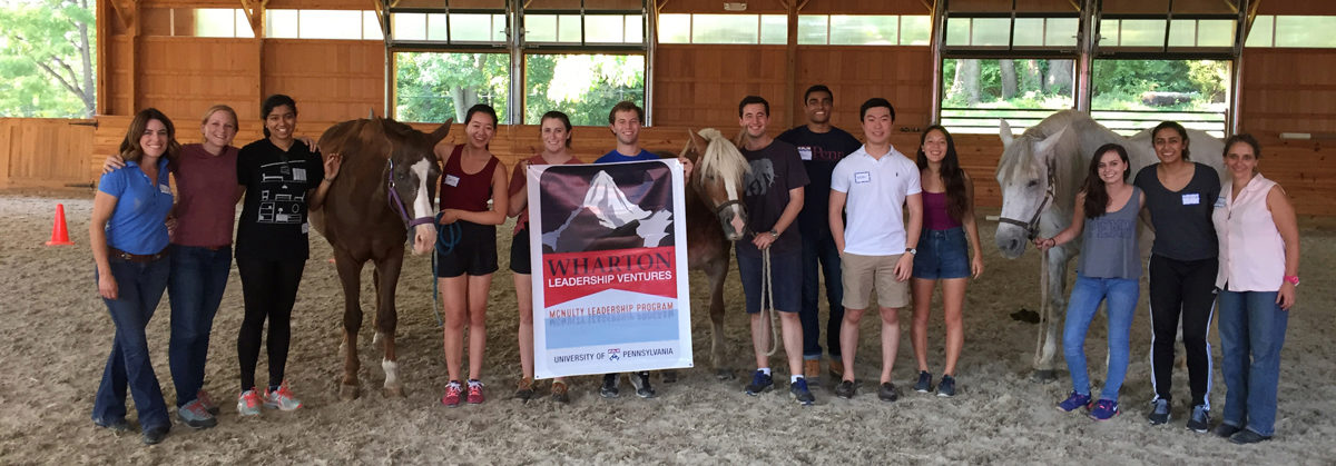 equine-team-building